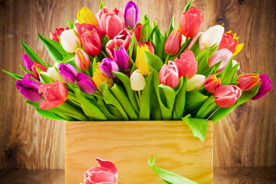 Фото 8 марта тюльпаны