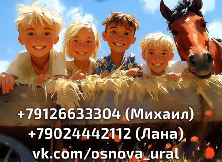 Летняя программа «Улетное лето в деревне» - Основа