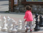 24 января бесплатный пробный урок по шахматам для детей!