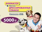 Бомба Аниматор+Шоу дрессированных собак по выгодной цене