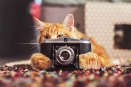 Фотограф