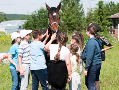 Детский летний клуб по верховой езде и уходу за лошадьми (8+)