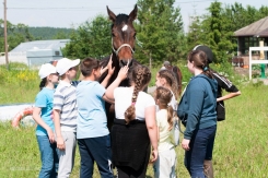 Детский летний клуб по верховой езде и уходу за лошадьми (8+)