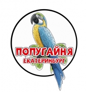 Попугайня в Екатеринбурге