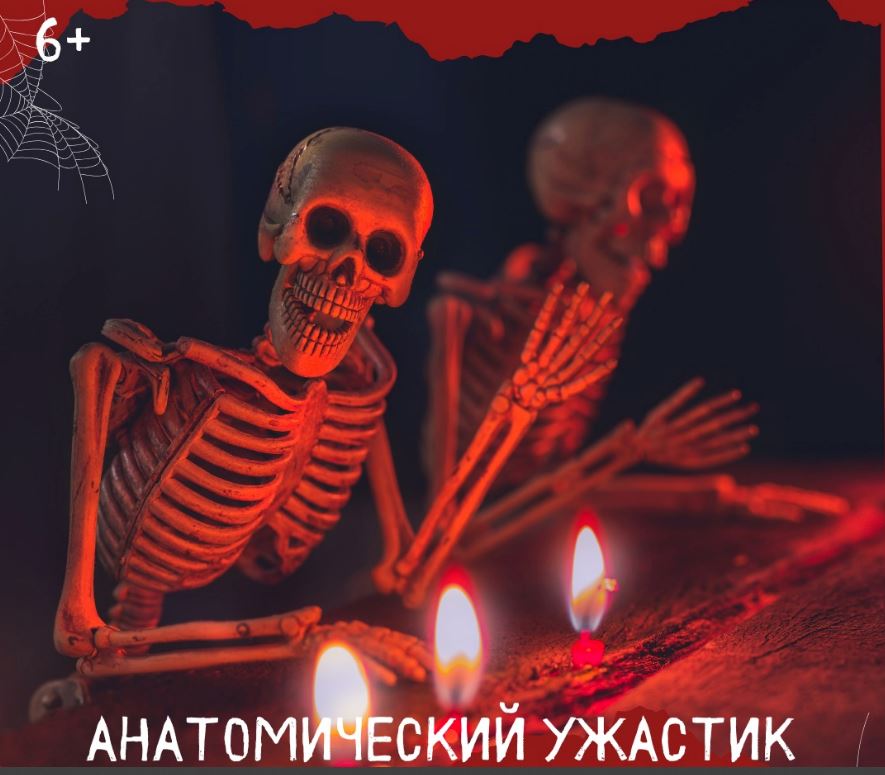 Анатомический ужастик в Newton-BIO