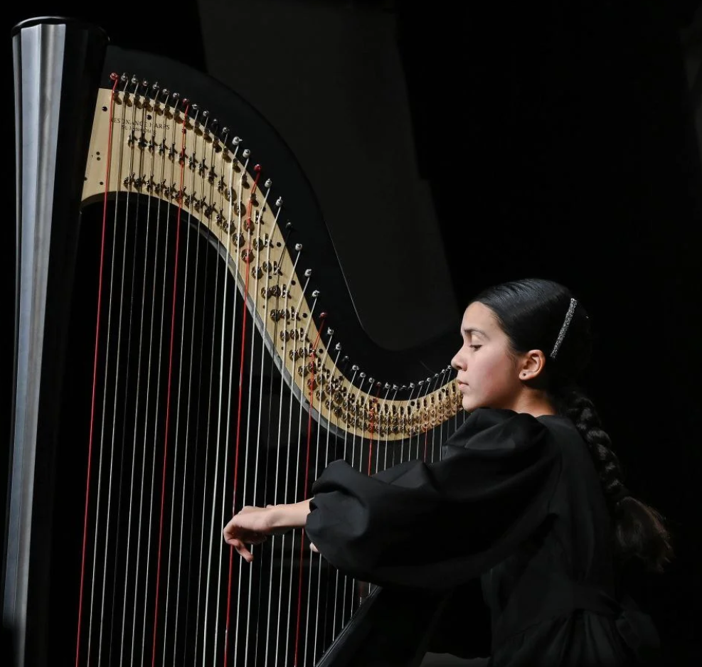 Арфа и квартет Dolce vita - МИЕ