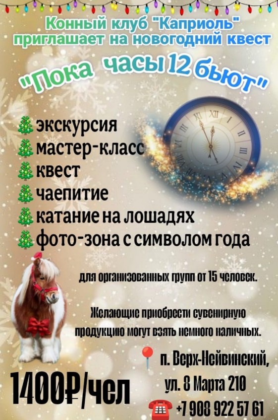 Каприоль Новый год 2026