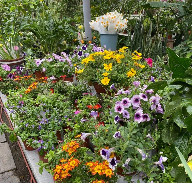 Дыхание Весны - Дендропарк