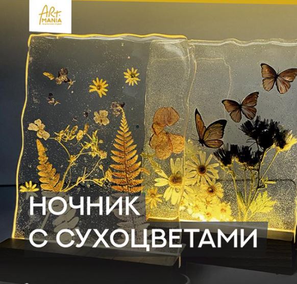 Ночник с сухоцветами - ЦКУрал