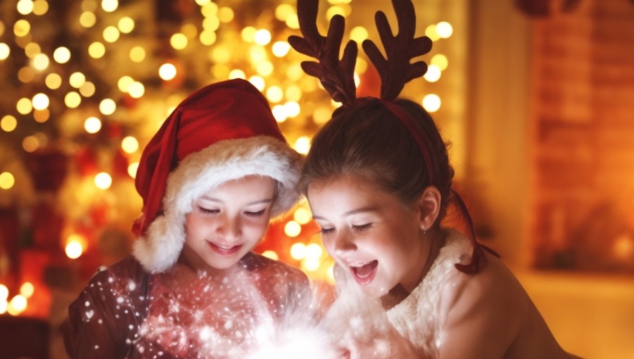 Волшебные утренники - Жар-птица