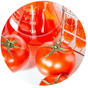 Другая кухня - Newton BIO