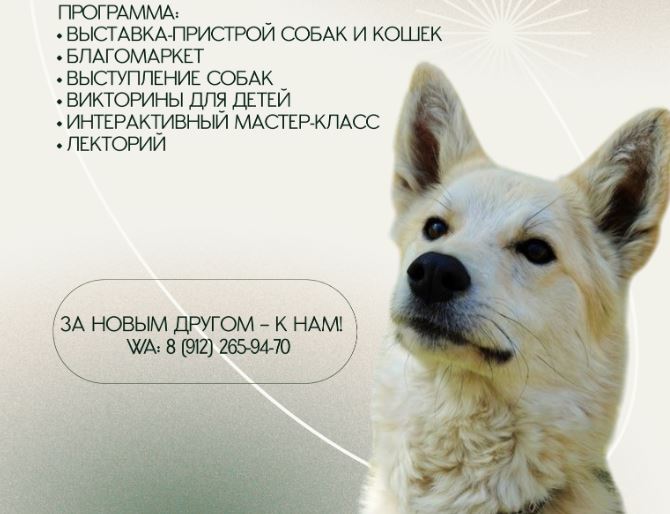 Дорога домой