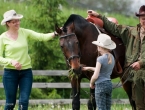 Отличные выходные с лошадками для всей семьи в КСК "Темп"!