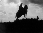 «А кони тоже воевали!» - Посвящение 74-ой годовщине Победы
