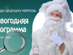 ОТКРЫТА ЗАПИСЬ НА НОВОГОДНИЕ ПРОГРАММЫ!