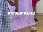 РОЗЫГРЫШ