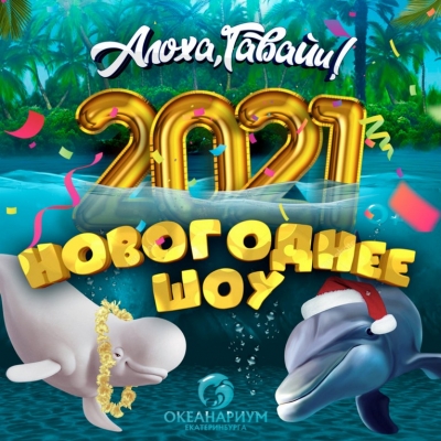 Новогодний интерактивный спектакль «Алоха, Гавайи!» в Океанариуме