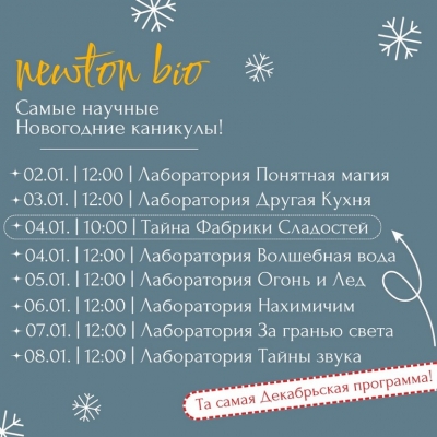 НЕЗАБЫВАЕМЫЕ НОВОГОДНИЕ КАНИКУЛЫ С NEWTON!