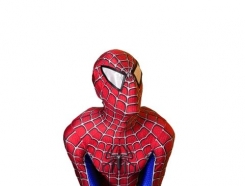 Человек паук, костюм