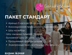 Пакет СТАНДАРТ