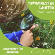 Королевство цветов