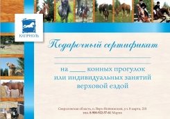 Сертификат в конный клуб