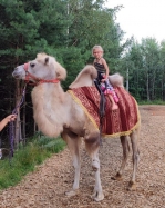 Катание верхом на верблюде