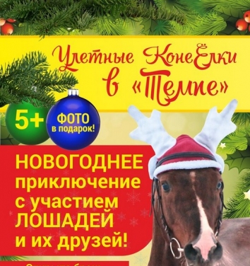 КонеЁлки  в Темпе: новогоднее приключение с участием животных (5+)