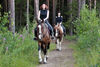 Конная прогулка 60 минут