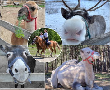 Экскурсия на ферму