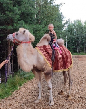 Катание верхом на верблюде