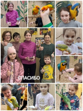 Каникулы в Попугайне