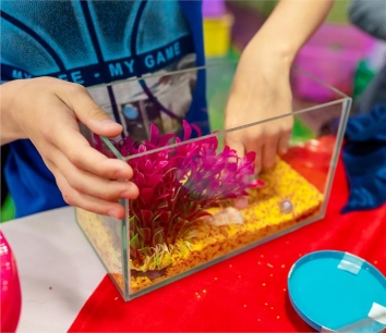 Мастер-класс &laquo;Декорирование аквариума&raquo; в Екатеринбурге