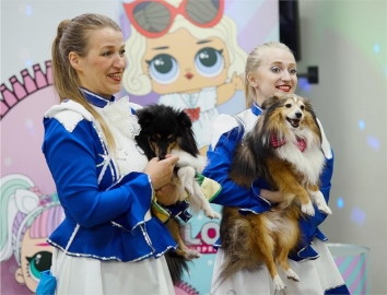 Дрессированные кошечки и собачки на детский праздник в Екатеринбурге
