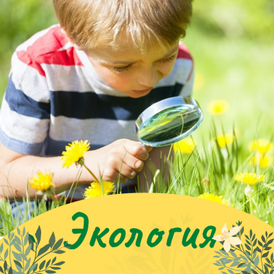 Группа полного дня - ЭКОЛОГИЯ