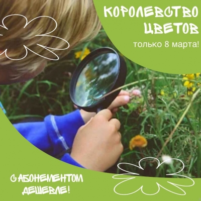 Королевство цветов