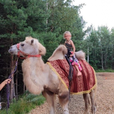 Катание верхом на верблюде