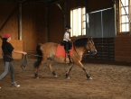 Где покататься на лошадях в Екатеринбурге: конные прогулки, верховая езда, обучение