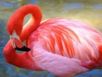 Розовый фламинго, маленькая Баба-Яга и Морозко. Куда пойти с детьми 9 и 10 октября