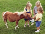 Как общение с лошадьми полезно влияет на ребенка?