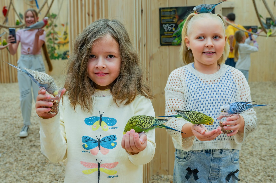 Весенний лагерь - Попугайня